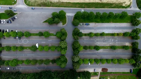 A commercial parking field seen from directly above, with landscaped strips between the aisles.